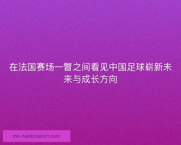 在法国赛场一瞥之间看见中国足球崭新未来与成长方向