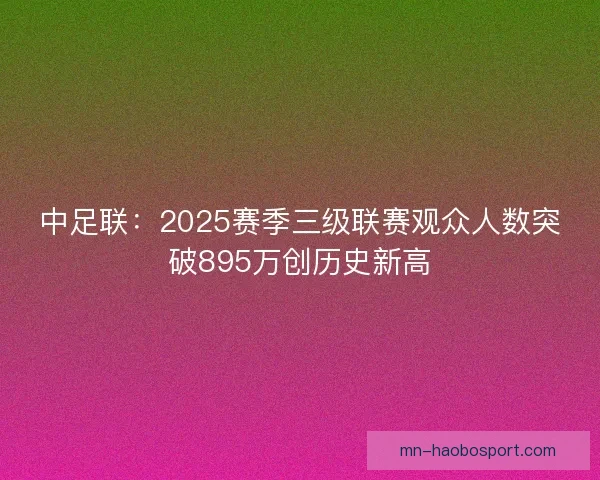 中足联：2025赛季三级联赛观众人数突破895万创历史新高